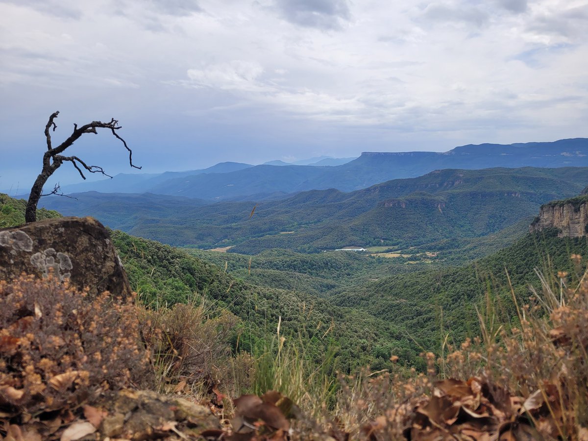 LOTR vibes
#photography #gerona #hiking #Travel