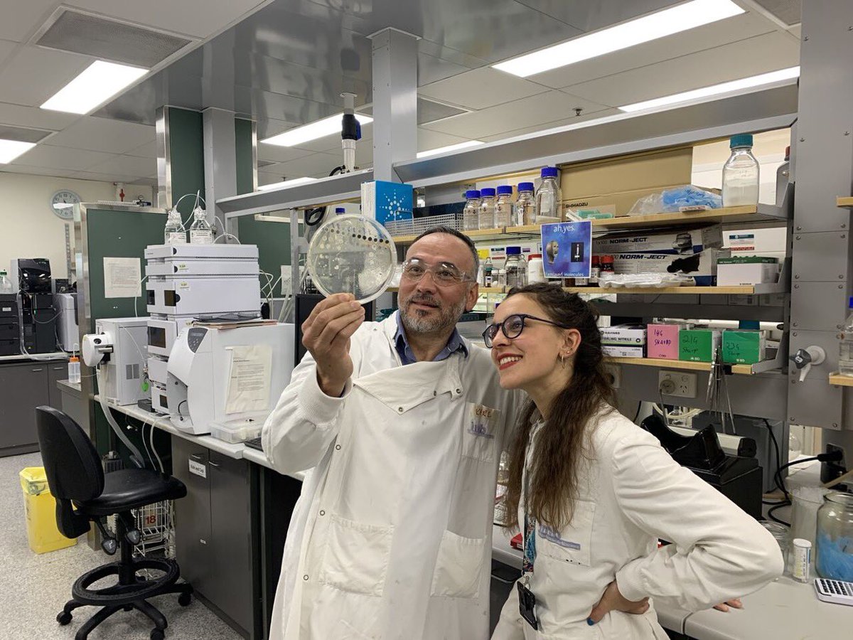 Nice collaboration by @OPacios in the lab at UQ Institute for Molecular Bioscience (Brisbane, Australia) with Karl Hansford exploring how combinations of bacteriophage and antimicrobial peptides can synergise to kill bacteria. #InternationalPhD #50AñosHUAC 📚