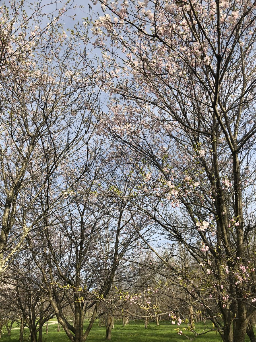 0205studio's tweet photo. 사쿠라, 카디건, 하트 . . . 🌸🧥🤍 https://t.co/u1ahDaOWfO