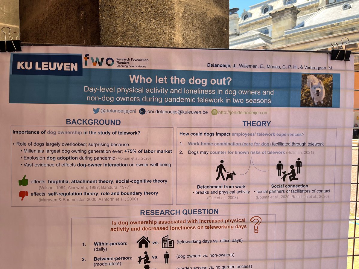 Joni Delanoeije tweet media