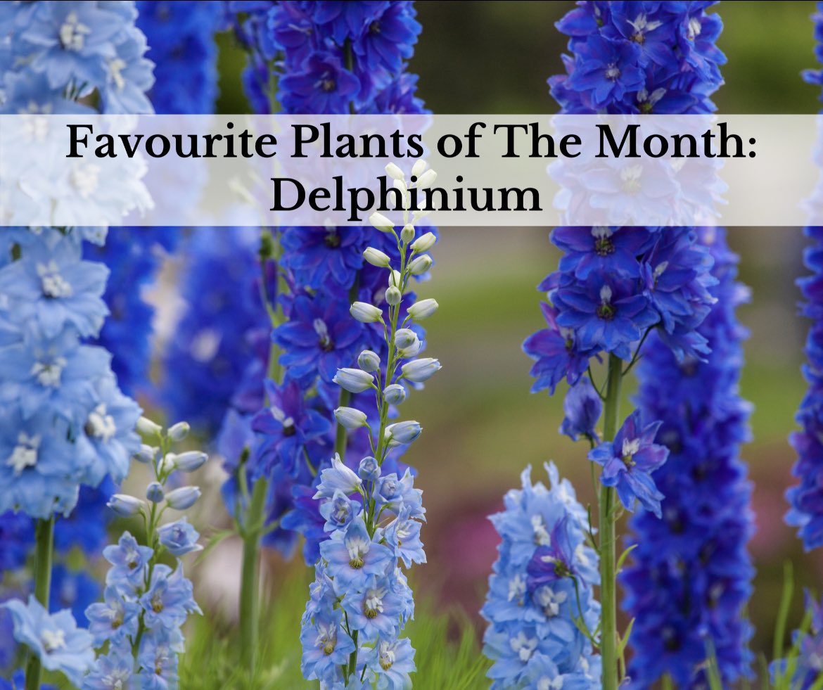 Scott Taylor tweet media