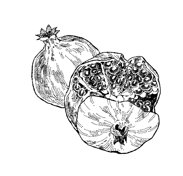 描いたけど使わなくなりそう 