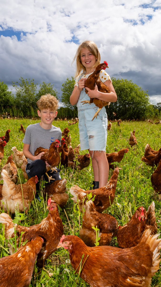 butlersorganics's tweet photo. Noel, Kate &amp; lots of our happy hens on photo duty! #organic #freeranging #irishfarm #farmlife #carlow #dublin #nochemicals #biodiversity #irelandstastiesteggs #happyhens #summerholidays @GoodFoodIreland @TasteinCarlow @IrishOrganicA https://t.co/3a3P3SGYiV