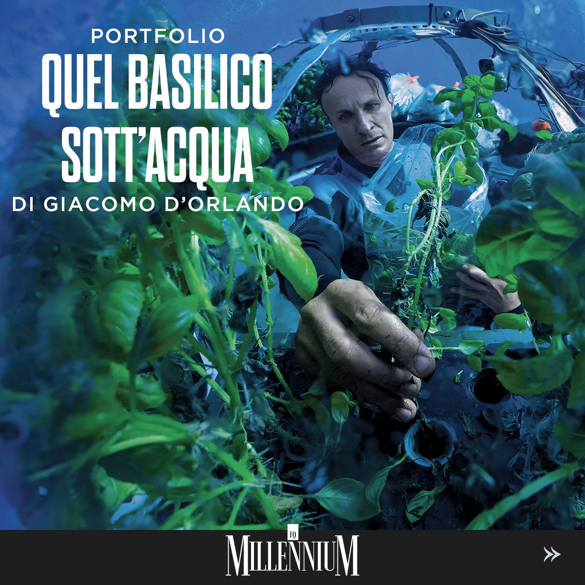 FqMillennium's tweet photo. QUEL BASILICO SOTT'ACQUA
👉 Scorri e scopri il PORTFOLIO fotografico 📷 di @giacomo_dorlando a cura di Roberto Casalini su #FQMillenniuM
👉 Continua a leggere, vai in edicola
#portfolio #fotografia #biosfere #subacquei #gardening #mare https://t.co/vDC3RJrmll