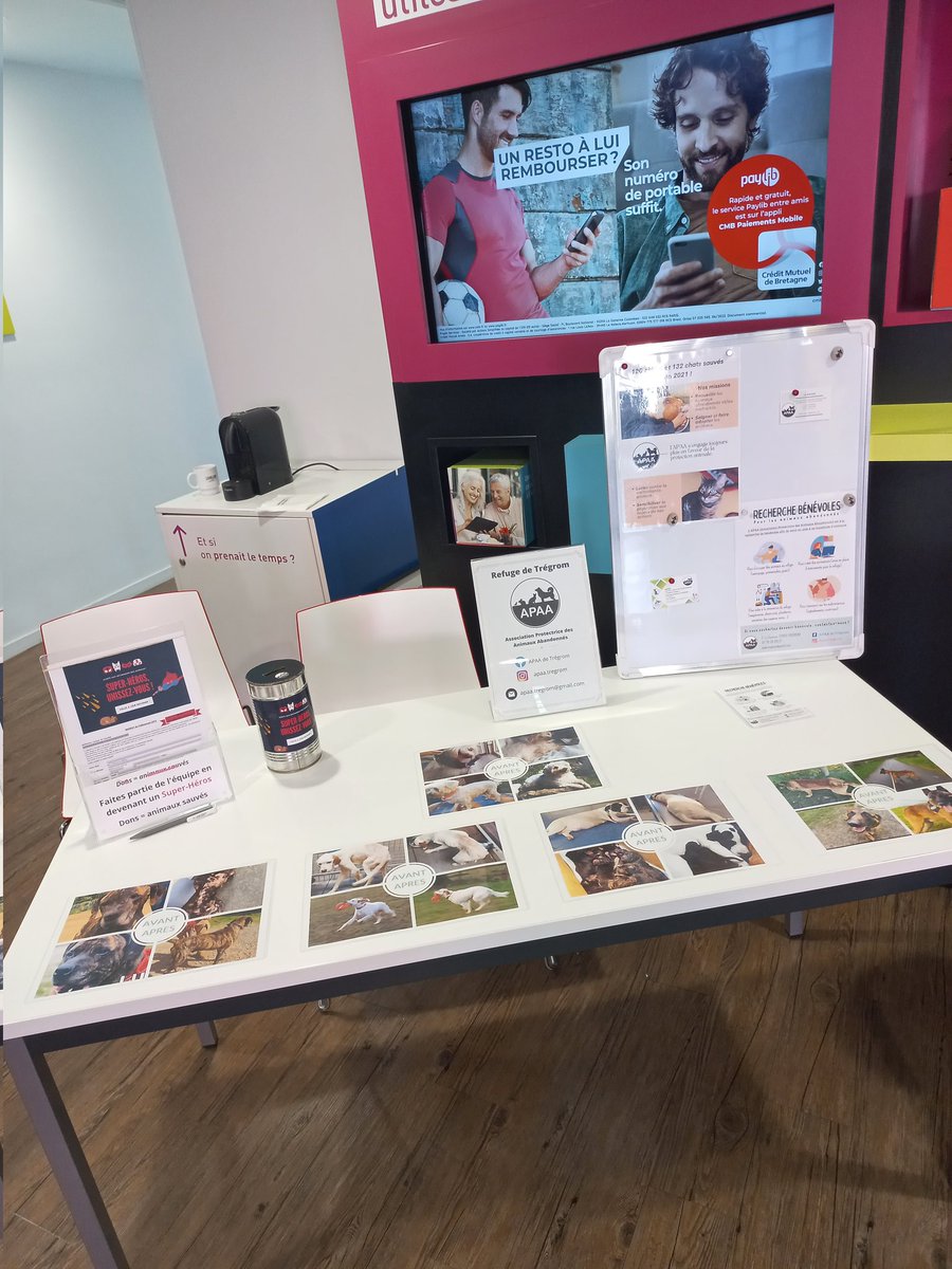 CMB BEGARD tweet media