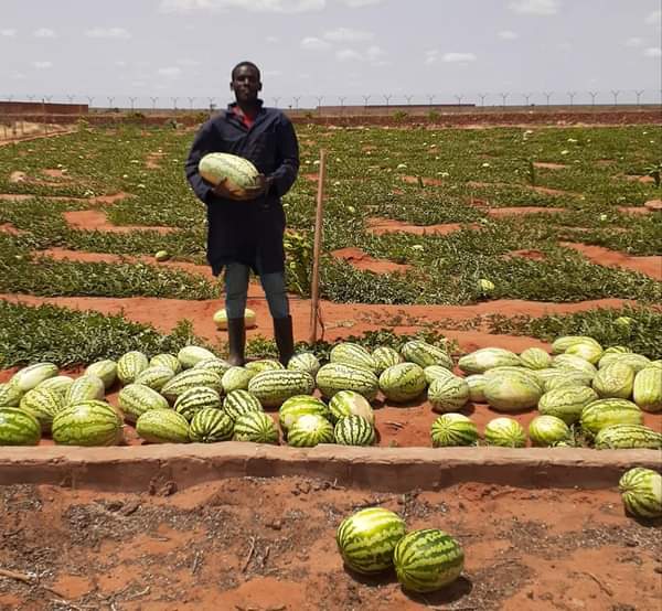 mkulimayoung's tweet photo. Agriculture can help reduce poverty, raise incomes and improve food security for 80% of the world's poor, who live in rural areas and work mainly in farming.

Promoting farming promotes grass-root development in the priority sector.
🔗 https://t.co/8XmAUZ5xK1

#MkulimaYoung https://t.co/fNJp1K3tYJ