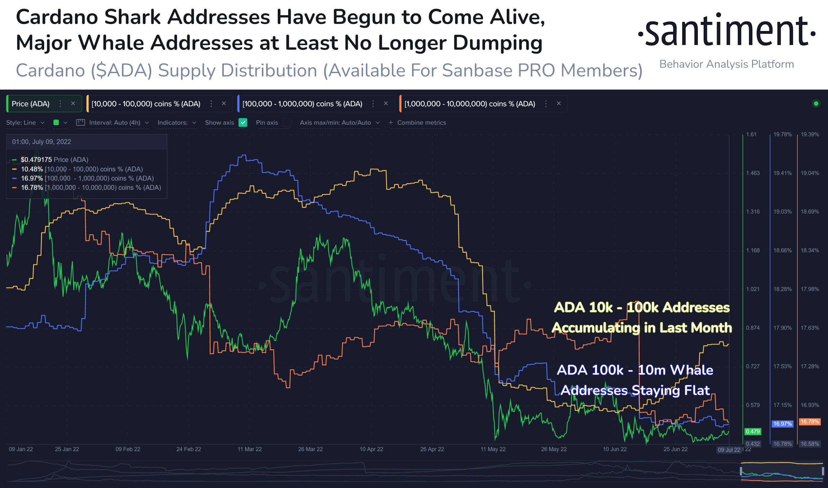 Cardano Network Activity