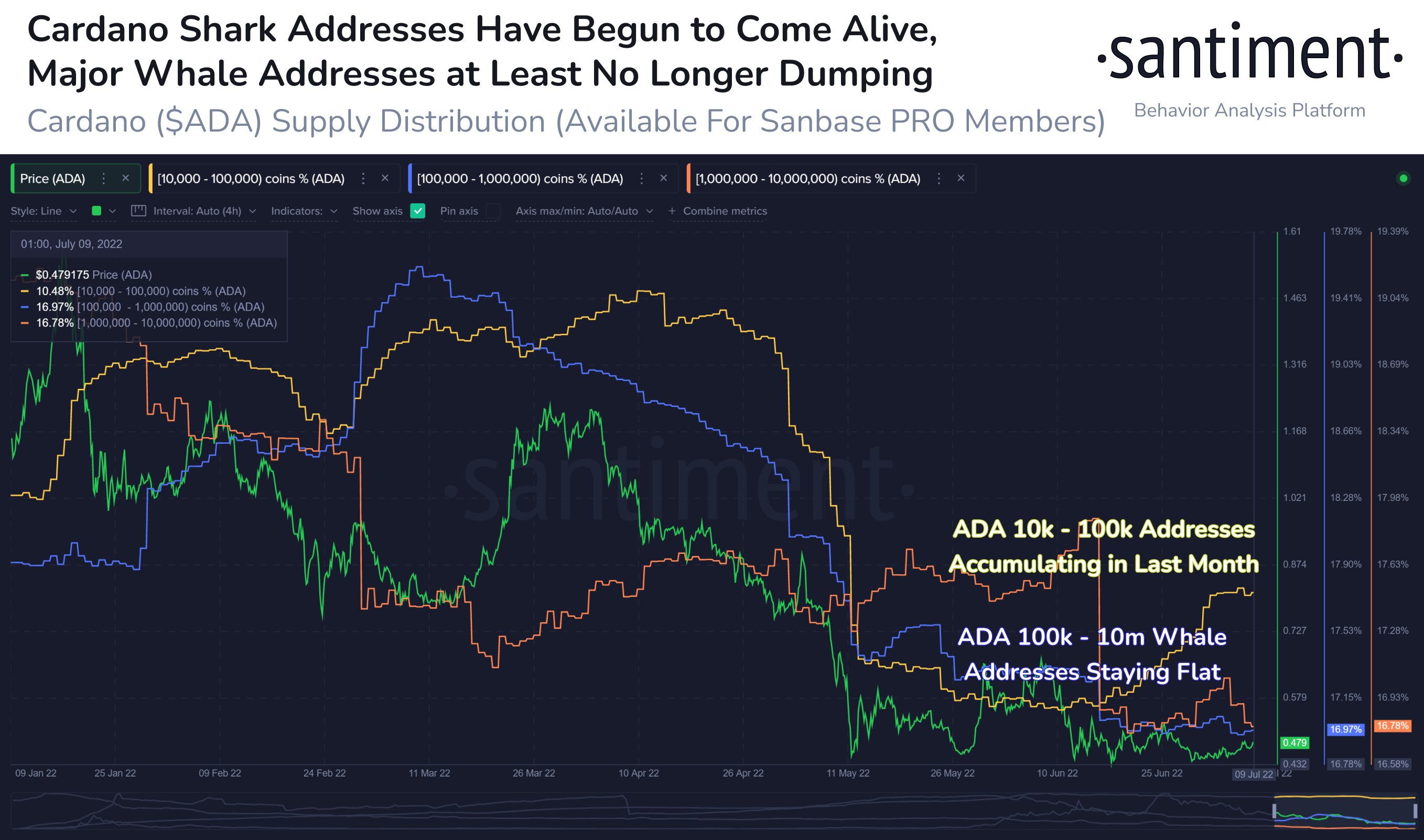 Cardano Network Activity