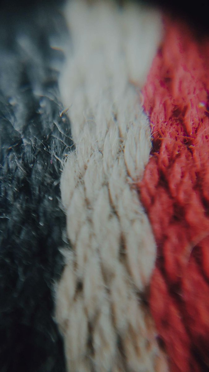 TheDPArts011's tweet photo. How Macro World looks like... ❤
#NFTCommunity 
#mobilephotography
#macrophotography 
#Amazing https://t.co/IVMLe2PC2y