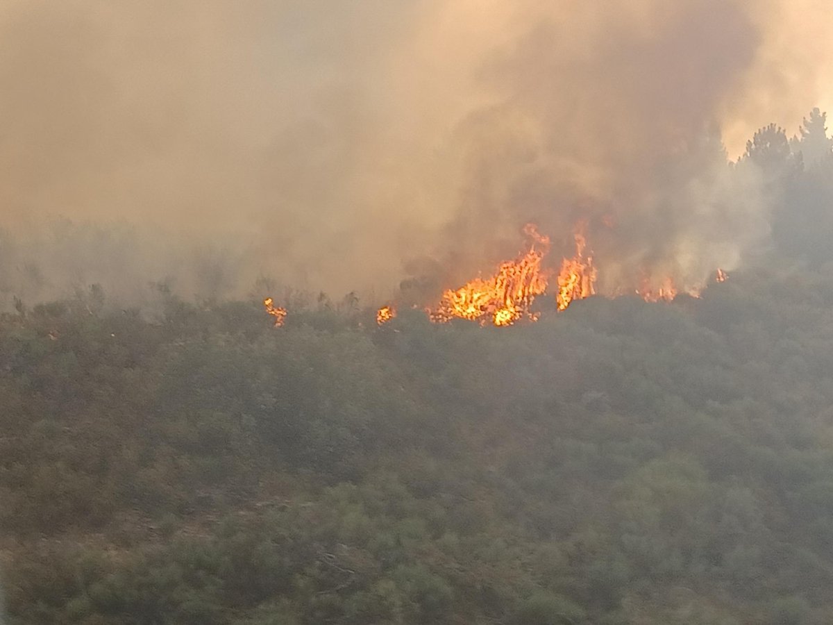 naturalezacyl's tweet photo. Esta madrugada se ha iniciado un incendio en #IFVillanuevaDelConde, Salamanca 🔥
 
🚁🚒El Operativo #INFOCAL, con apoyo de medios del @mitecogob, trabaja en las labores de extinción https://t.co/Rlfl2tXWoa