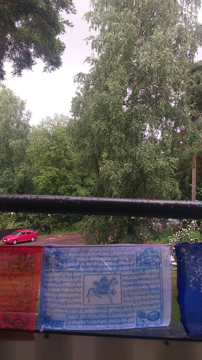 Sometimes all yiu need is a rain..... 
#rain #photography #nature #raindrops #prayerflags #finland #helsinki https://t.co/tTi8Hj6vkK