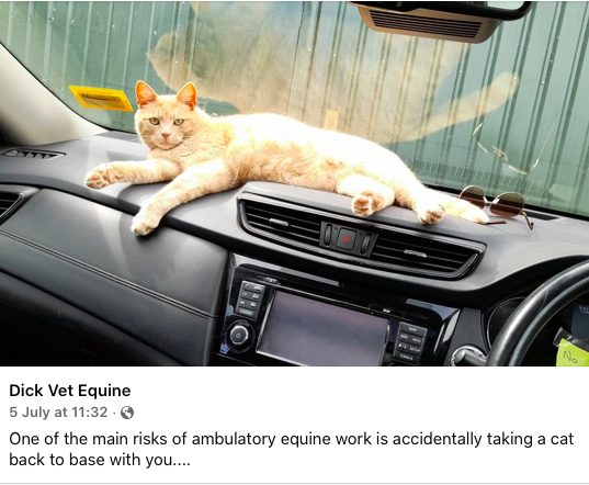 VetsSGD's tweet photo. Come on there must be plenty of us that have done this 🤣 Hands up? 🙈
Made us giggle, thanks for sharing @thedickvet
#vsgd #veterinarycareers #vetcareers #equinevet https://t.co/FVuFFDIx7w