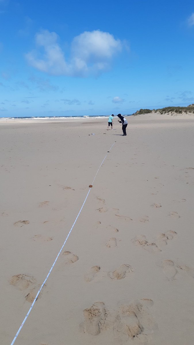ScienceVictory's tweet photo. Year 12 Biologists on their required practical field trip investigating sand dune succession at Holkham Beach ☀️ 🔎🐛 https://t.co/GDbZq84g5T