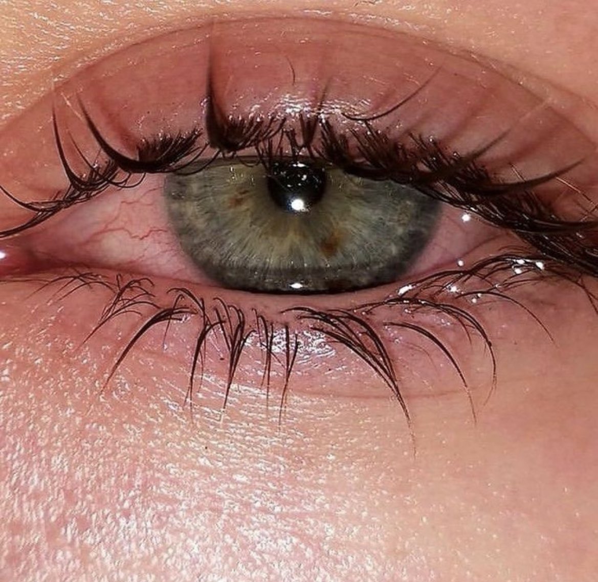 lexa (she/her) tweet media