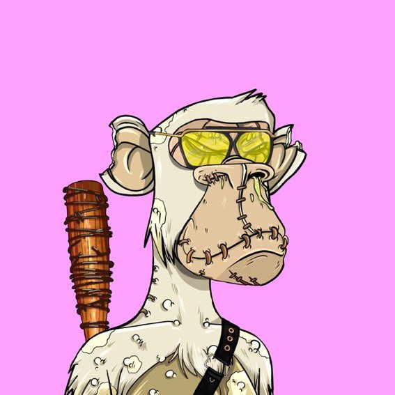 lil pepe 🏄‍♂️🧪 tweet media