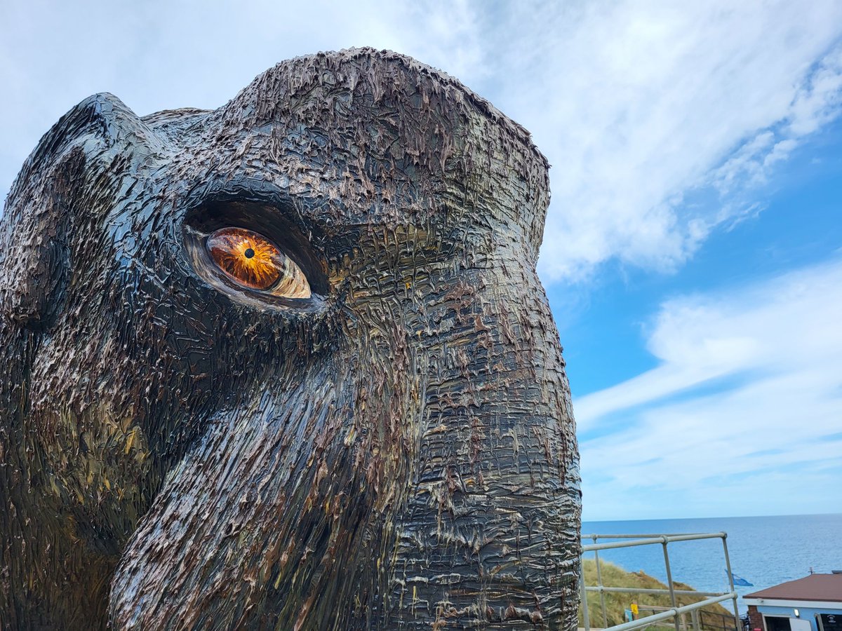 Good morning 🦣

#GoGoDiscover #Norfolk #Mammoth #Sculpture