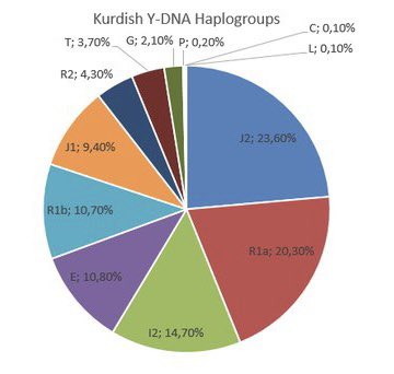 aryan_amed's tweet photo. @nrken19 https://t.co/hFachfrcxj