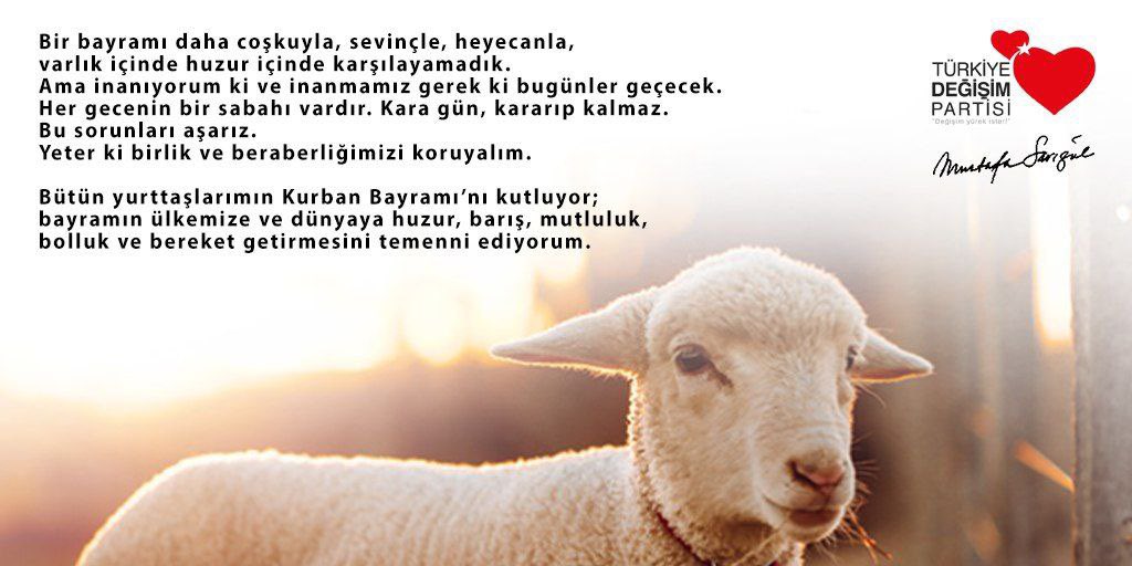 Mustafa Sarıgül (@m_sarigul) on Twitter photo 