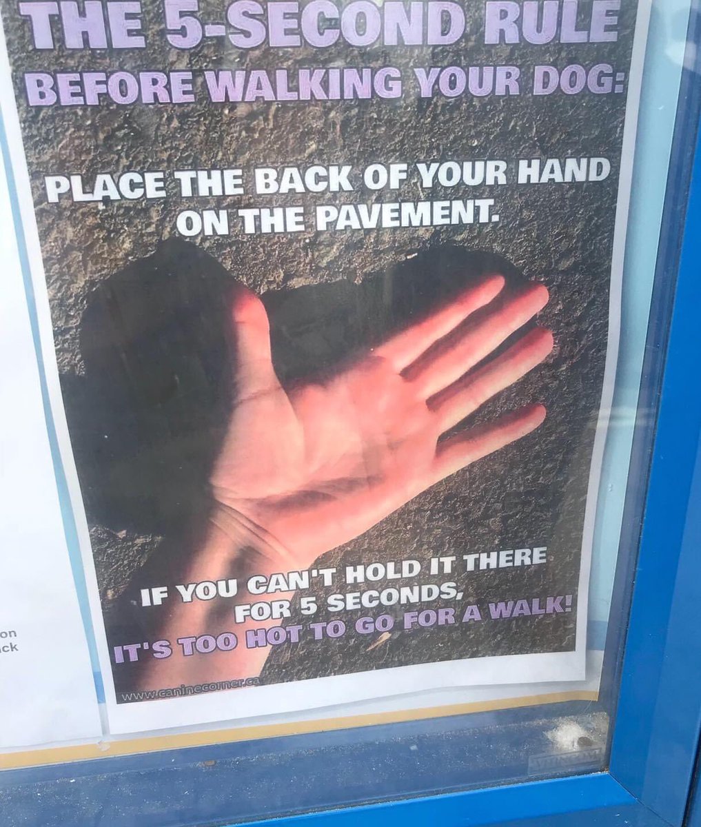 Graeme Hall tweet media