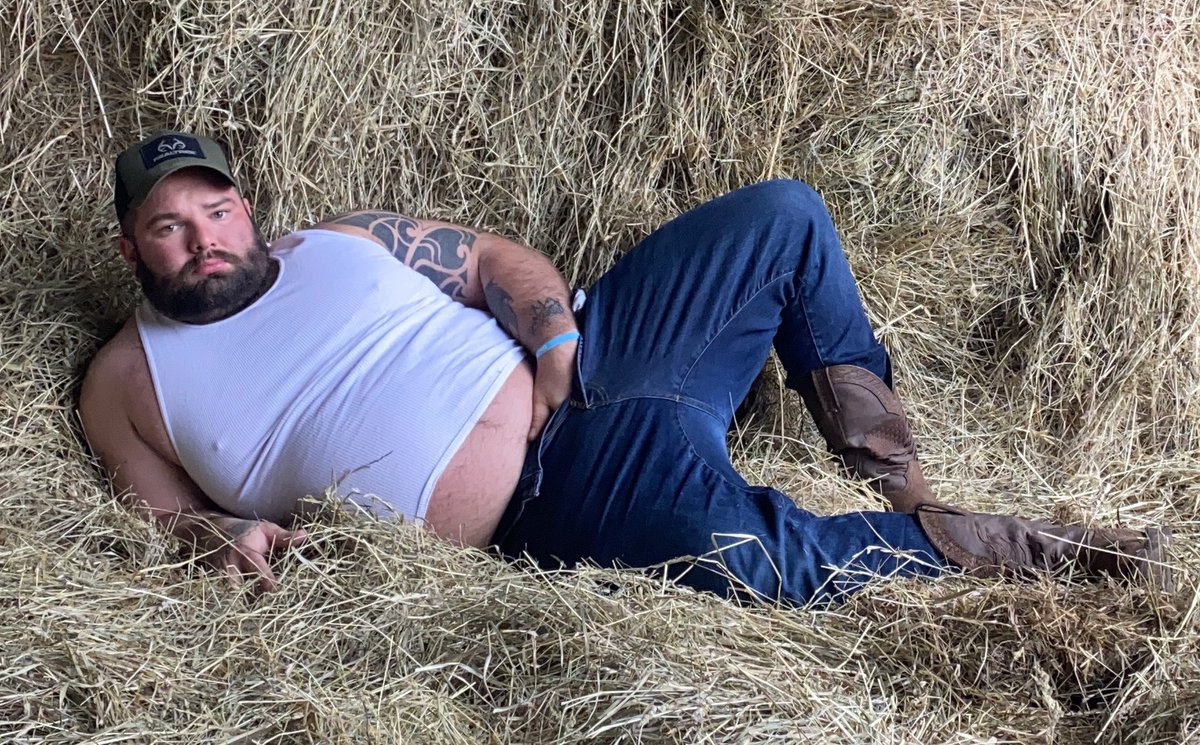 GayBears tweet media