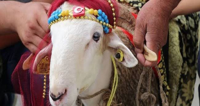 Türk Mühendisler Birliği olarak aileniz ve sevdikleriniz ile birlikte olduğunuz, birlikteliğin umuda ve mutluluğa dönüştüğü bir bayram geçirmenizi dileriz. Kurban Bayramımız mübarek olsun.