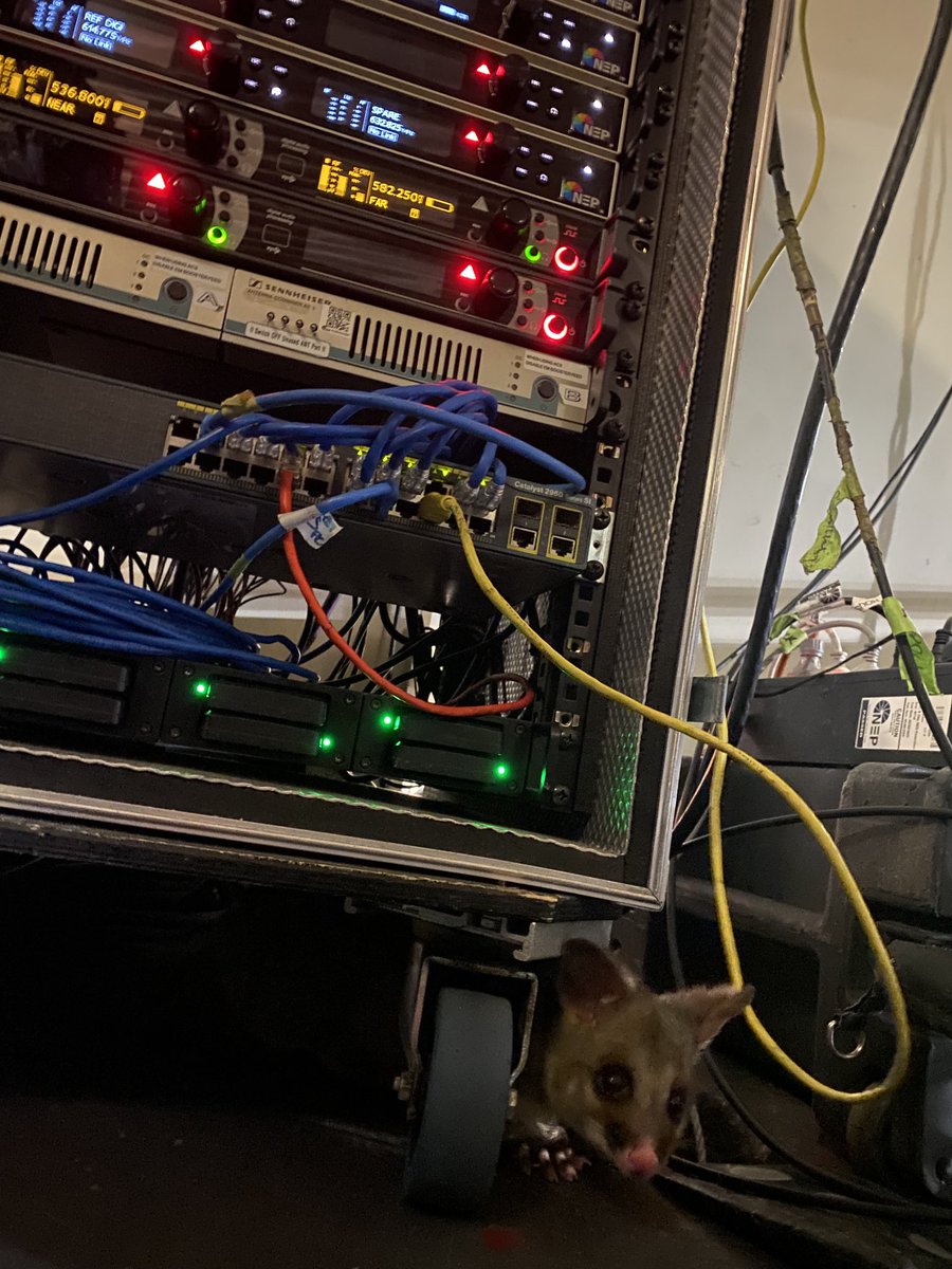 Magic of television. Look closely. #Leichhardt #nrl