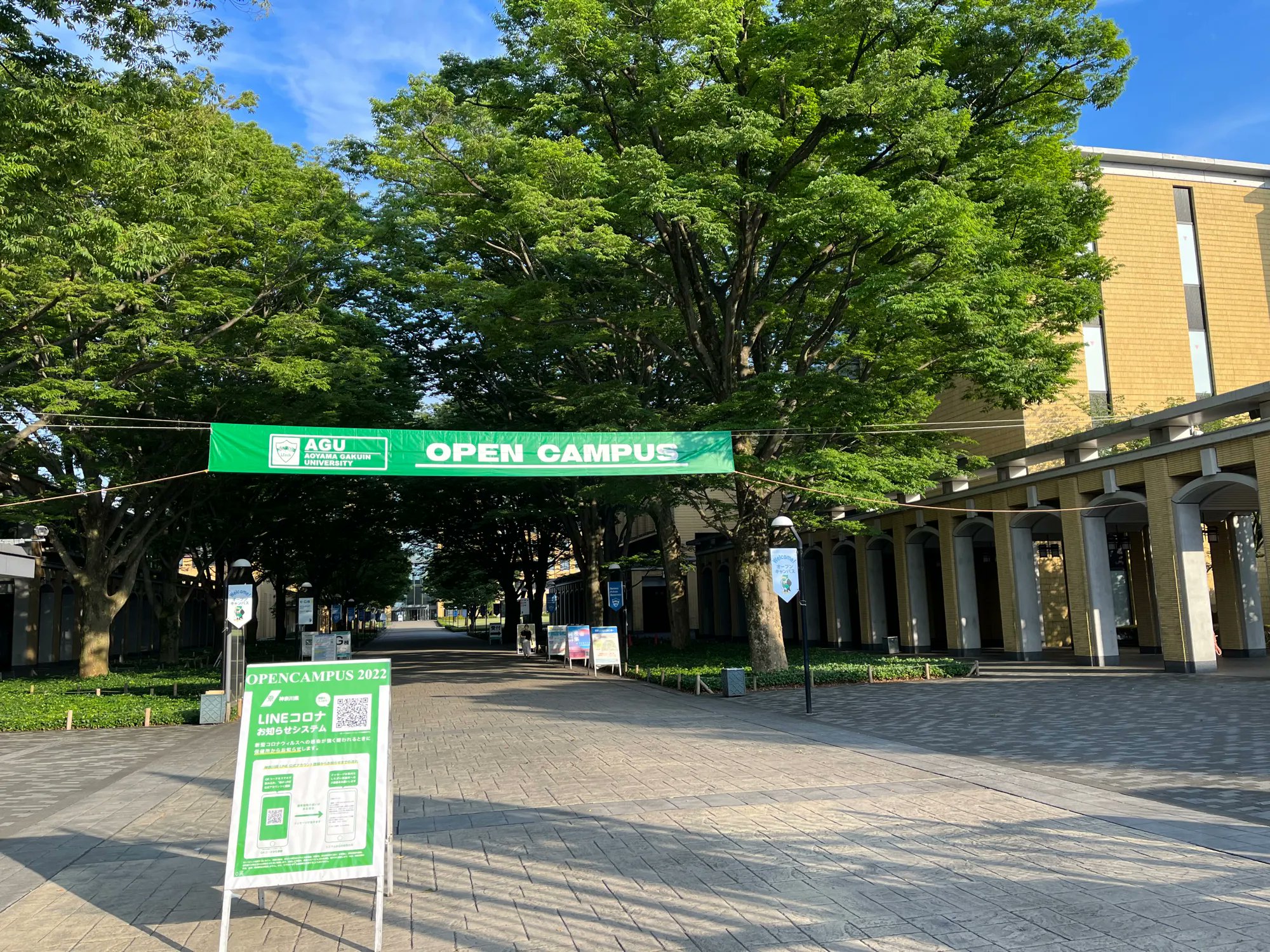 青山学院大学社会情報学部学生会 Sisa Sisa Aoyama Twitter