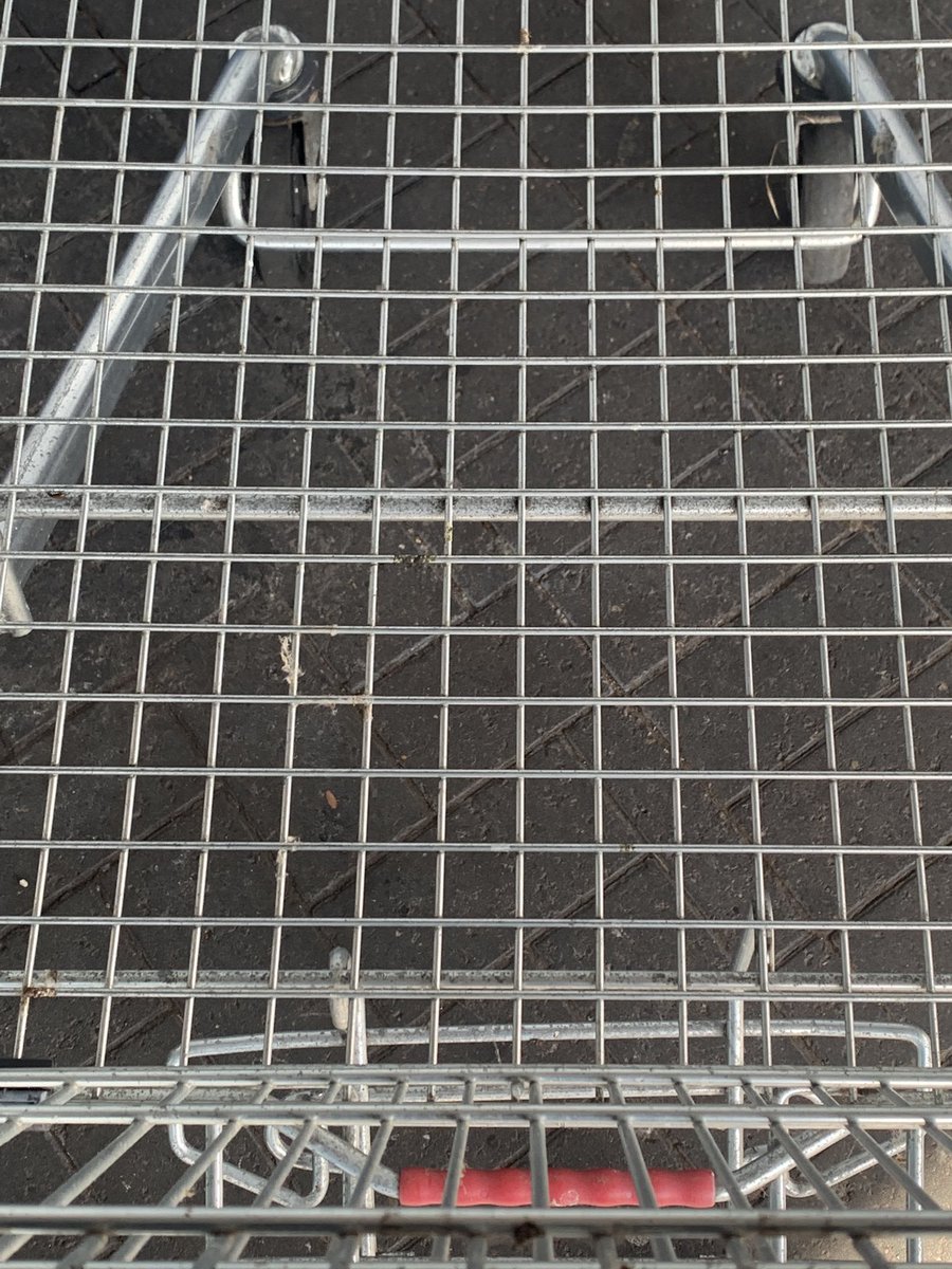 Tracey Coppins tweet media