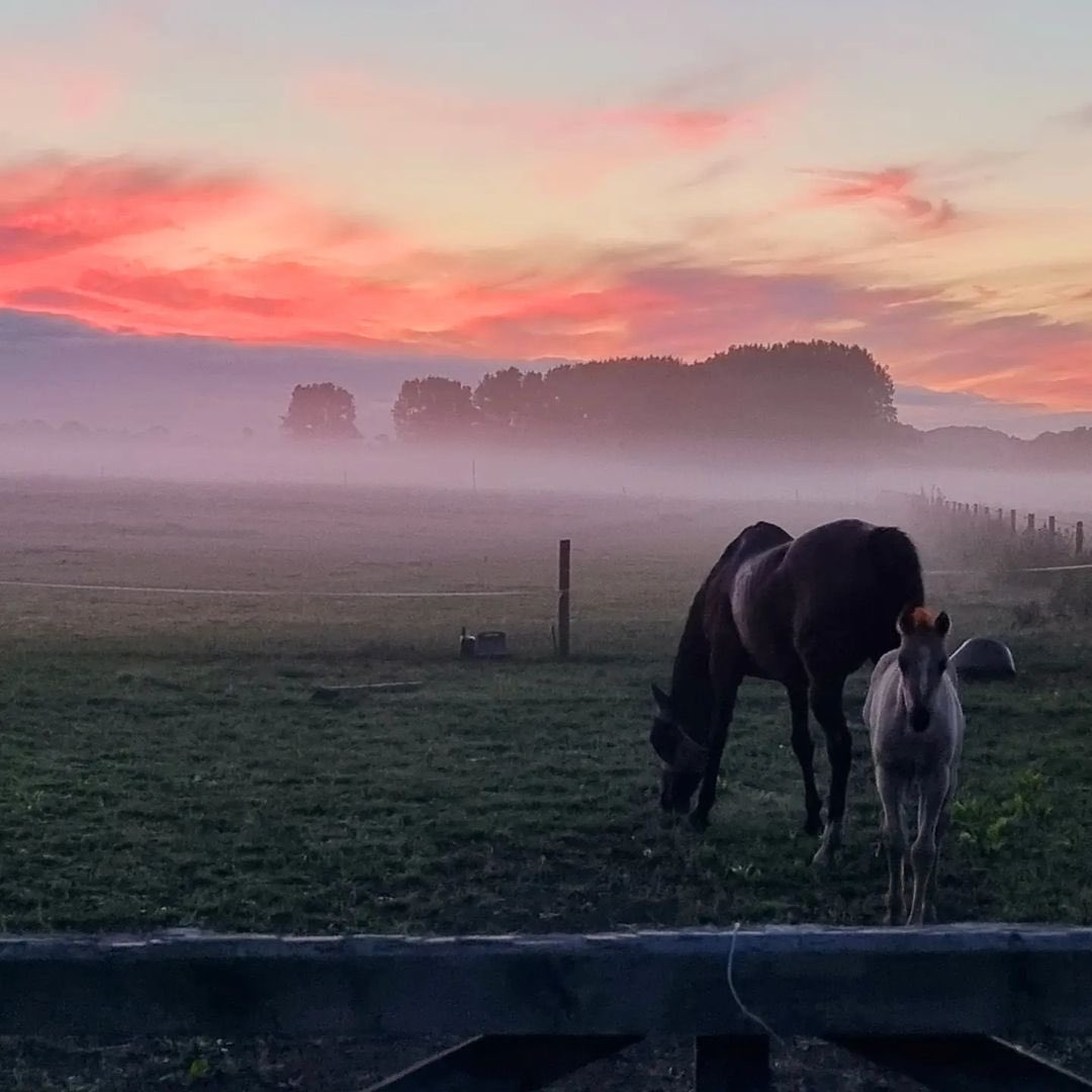 Igerscoventry tweet media