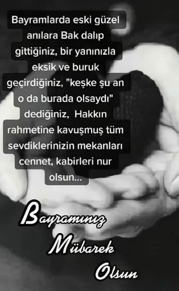 Selma Dalgic (@selmadalgic1) on Twitter photo 