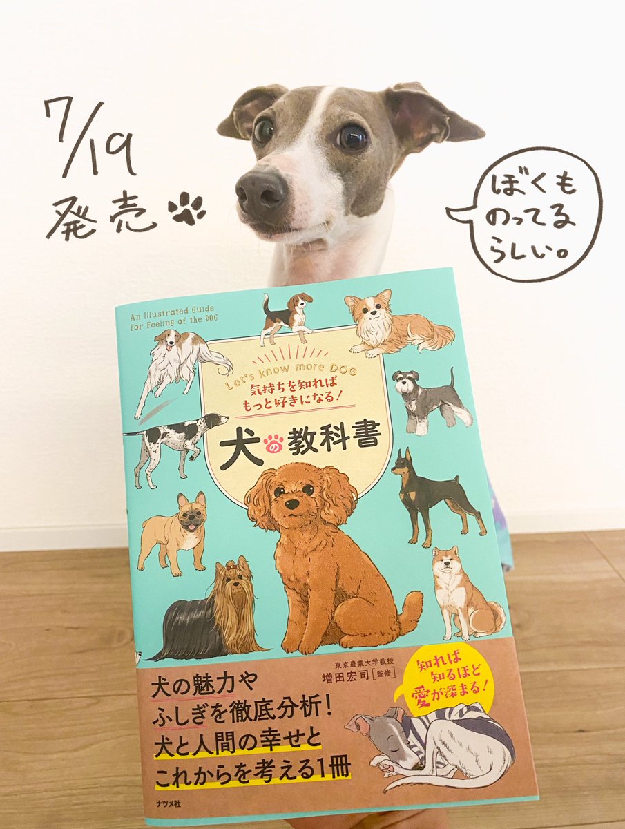 🐾work🐾

ナツメ社出版「気持ちを知ればもっと好きになる!犬の教科書」

プロローグと第2章のイラストを担当しました。犬の事を沢山知れて、より好きになれる楽しい本になっています。書店でお見かけの際は是非✨

帯にふーちゃんいます。 