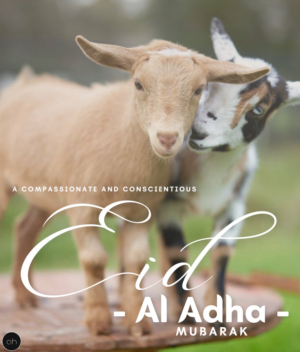 hai_atika's tweet photo. Cultivated meat (cultured meat) sounds good to me. And veganism is very appealing of course!

Let's be grateful and give thanks this EID in a more conscientious and compassionate way!

Eid Mubarak!❤️

📌
#restartimbuedwithlife #eiduladha #muslimfestival #eidaladhamubarak #eid https://t.co/jXWuEtct59