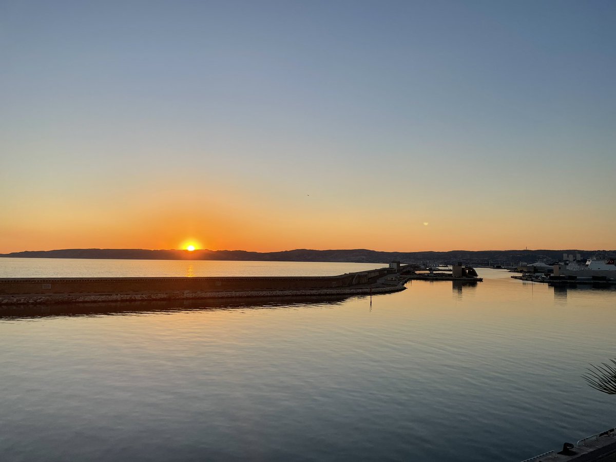 WARENE🌊 tweet media