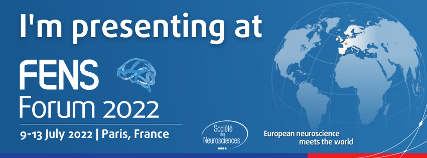 Come check our latest work about head direction signal during vestibular compensation ! 😀. We provide neurobiological arguments to spatial memory deficits observed in unilateral vestibular patients #FENS2022. I'll be presenting the 12th at 9:30 (S05-029)