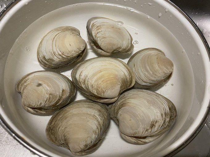 ホンビノス貝が開かない原因は 下処理方法やおすすめレシピも紹介 お食事ウェブマガジン グルメノート