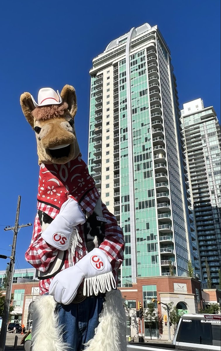 Calgary Stampede’s Harry the Horse. #yahoo