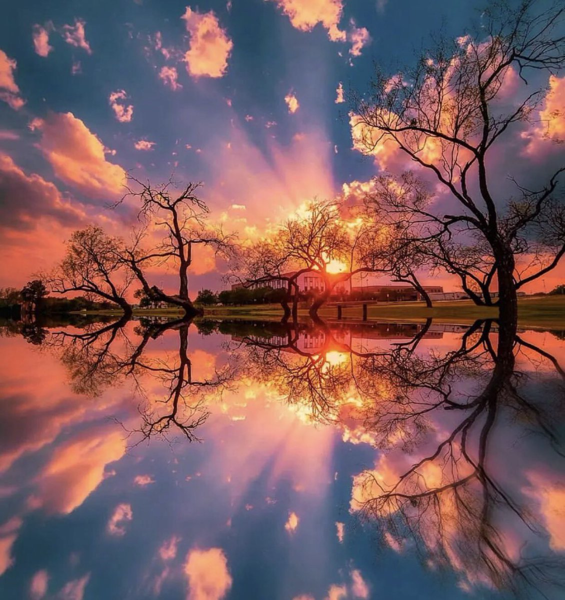 Good night 🌙💤😴 Dear Twitter Friends