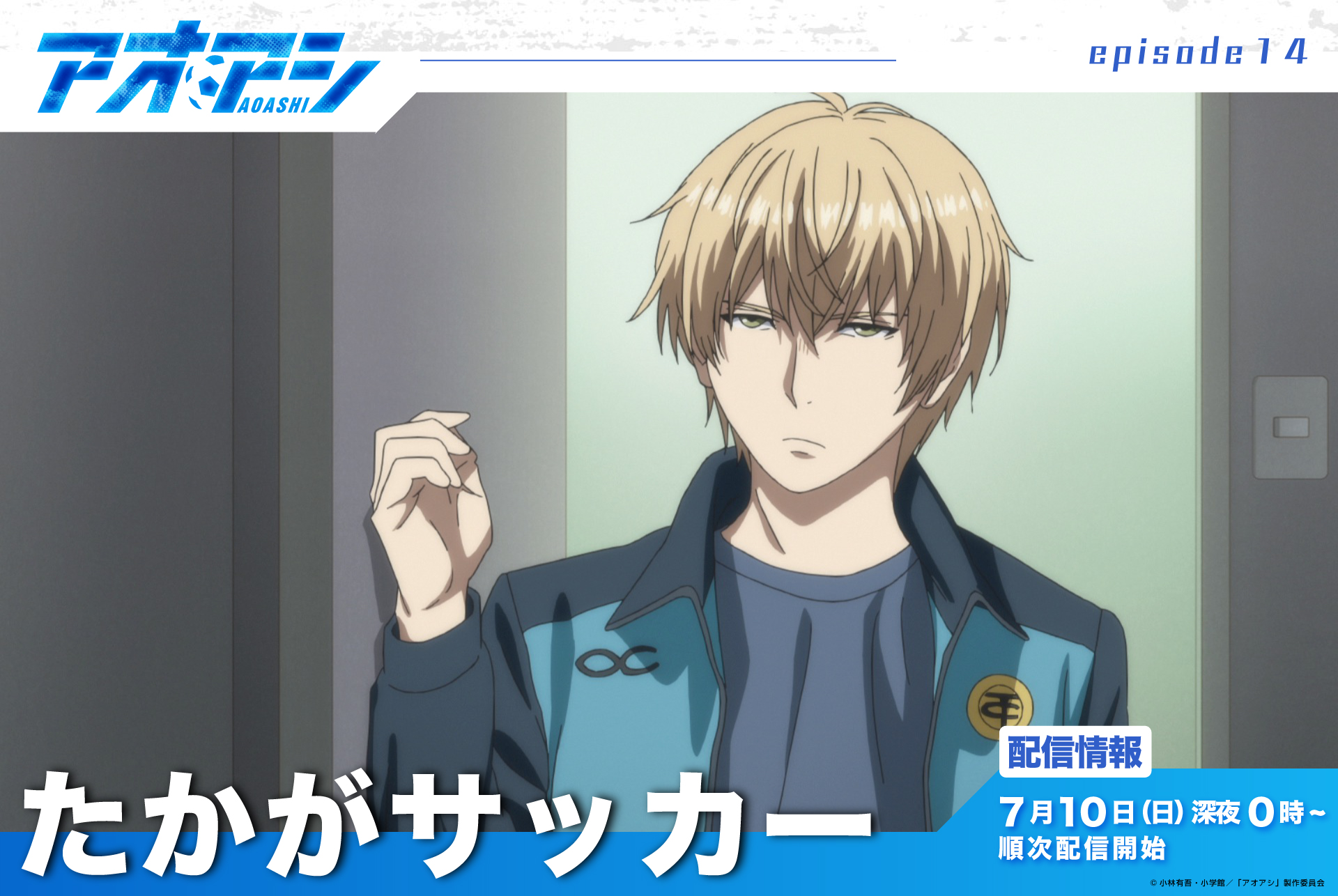 アオアシ 717jZuy30aL._AC_UF350,