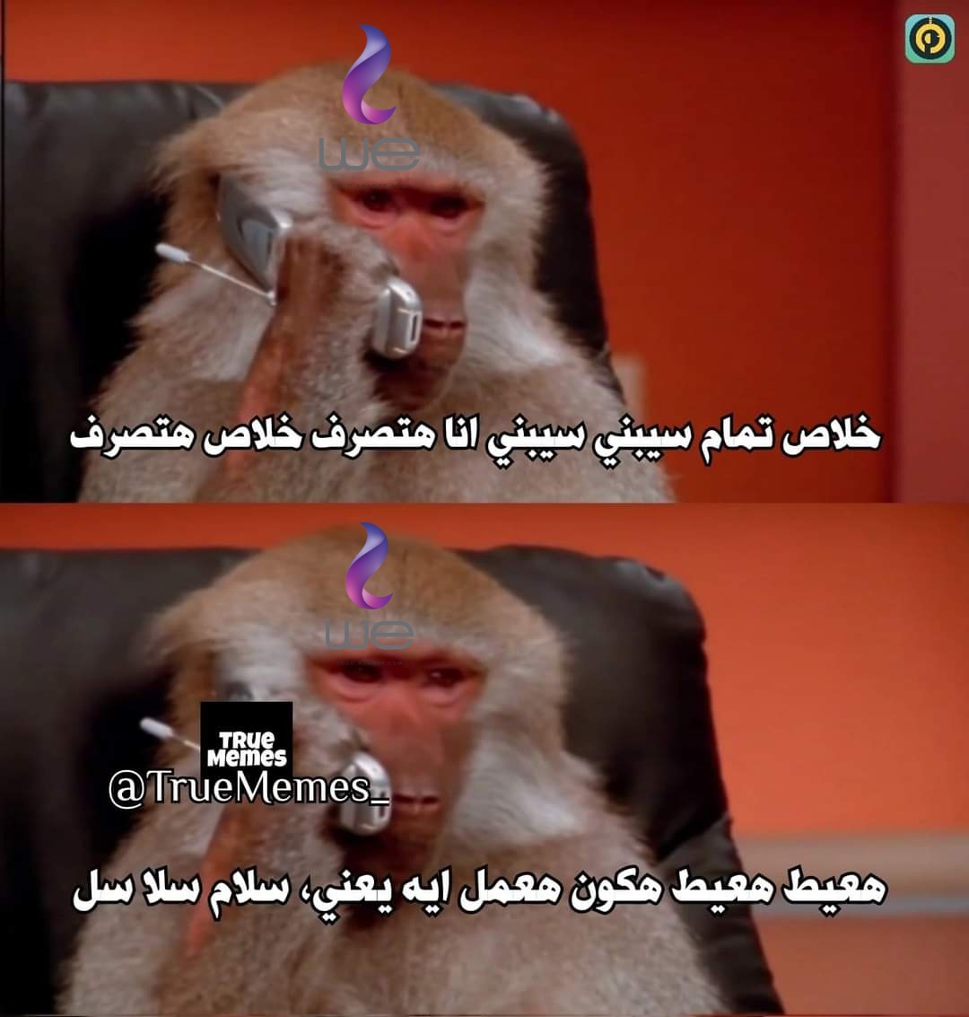 7odaromio's tweet photo. بتقول ايه عدوا المليون طيب اقفل انت

#انترنت_غير_محدود_ف_مصر https://t.co/I5fdEK9wla