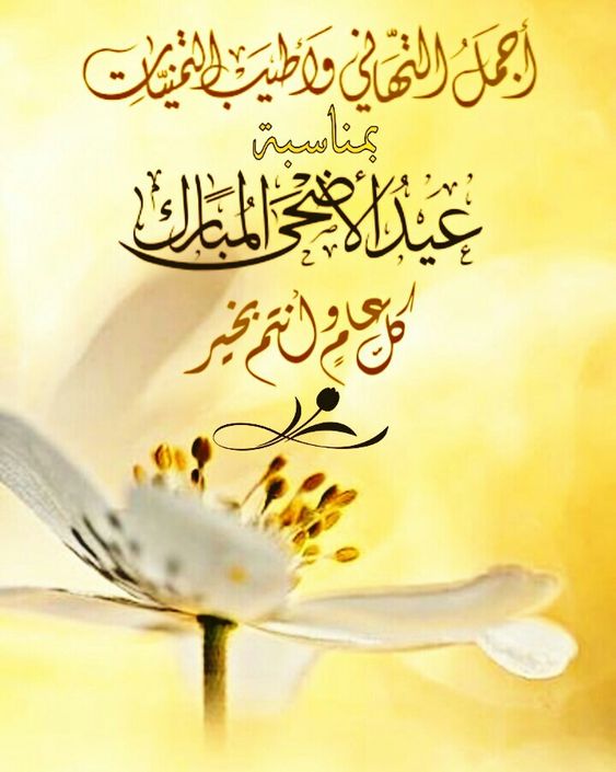 misk_eve's tweet photo. عيدكم وارفٌ وبهيّ ومليء بالمسرّات والبهجة كل عام وأنتم بخير ...عيد سعيد يا أحبَة 
و دامت أيامكم اعياد و افراح يااارب  
#كل_عام_وانتم_بخير https://t.co/RnADyvAHkc
