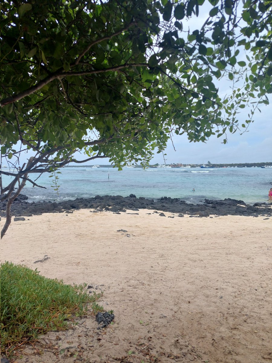 DimassGarcia's tweet photo. 🏝 https://t.co/S9yj0acvpq