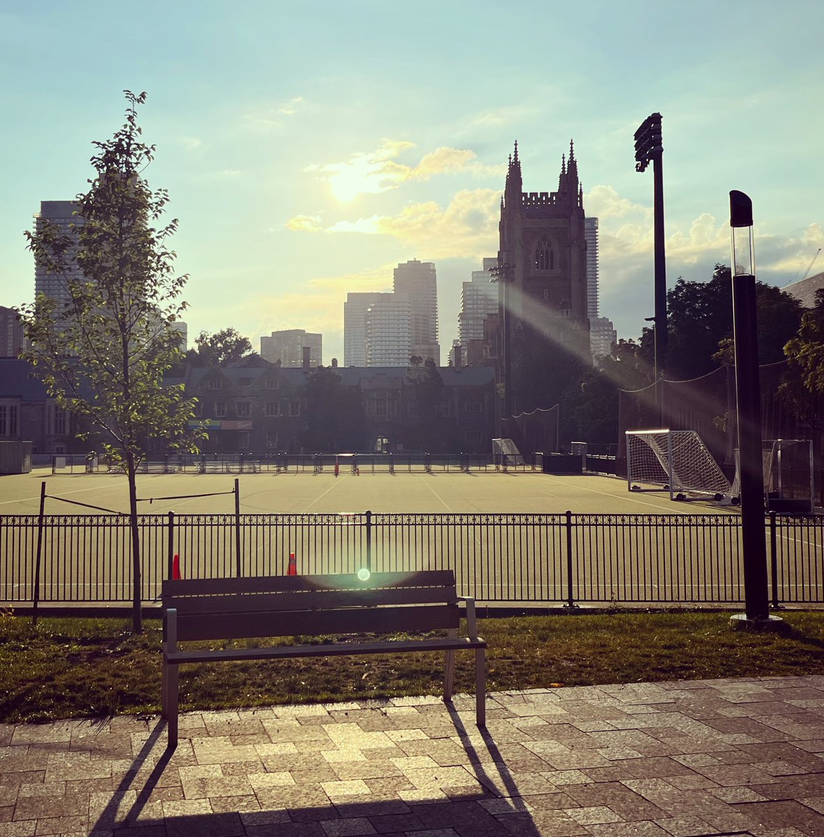 Melinda Scott tweet media