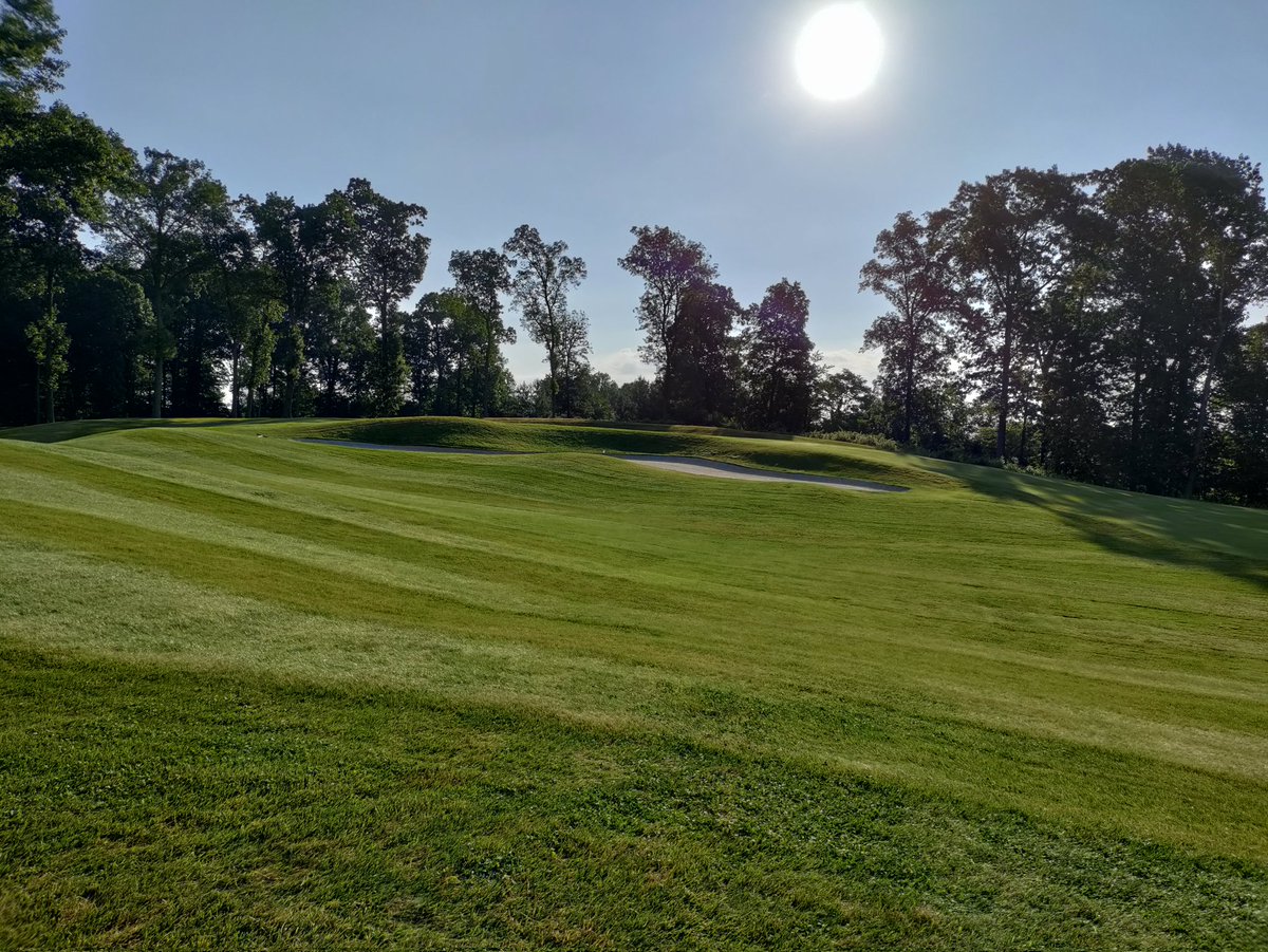 The verdict is still out on the biosolids based rough fertilizer. Should have some good data by August 1