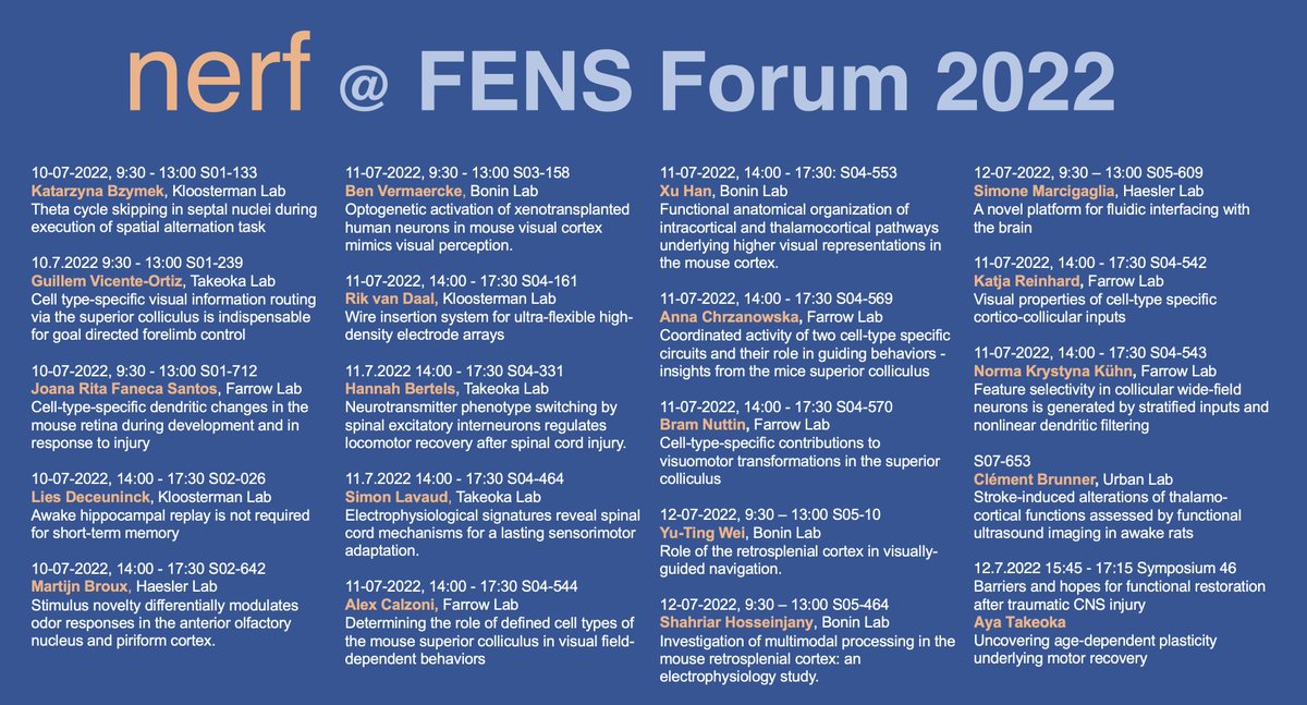BoninLab's tweet photo. Many @__NERF colleagues and lab members in Paris for #FENS2022 (not me unfortunately). Visit them at their posters to have a chat and see first-hand the exciting (neuro)science and (neuro)tech work done in Leuven! @VIBLifeSciences  @leuvenbrainins1 https://t.co/yE40IZ94uJ