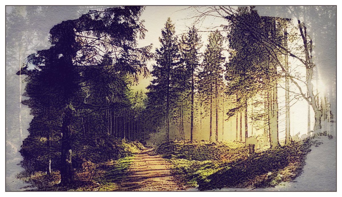NickFed5's tweet image. Лес в контравом солнечном свете
#лес #forest #forester #бор #природа #nature #пейзаж #landscape #Russianforest #мирвокругнас #окружающиймир #шедевры #экология #красотылеса #успокоение #добрыефотографии
Авторы: фотограф - Павел Шумов, обработка - Никита Федонников (Федмакров).