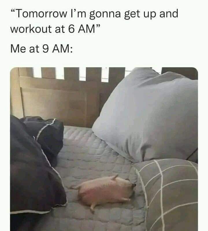 HelpATeacher's tweet photo. Guilty! 🙋‍♀️🙋‍♂️ https://t.co/WAS2ZiyQHp