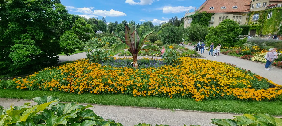 Wunderschönes Beet im Botanischen Garten München - von meinem Mann gestaltet  <a href="/botmuc/">Botanischer Garten München-Nymphenburg</a> <a href="/markus_schmoelz/">Markus Schmölz</a>  #garten #Muenchen