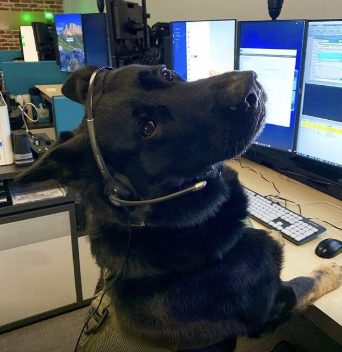 Customer service how may I help you today???