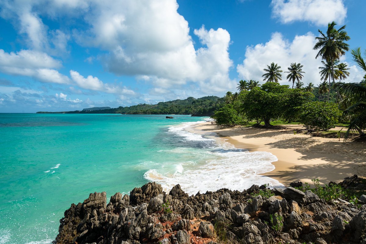 LBD_project's tweet photo. Are you interested in The Dominican Republic component of LbD?

If so, this newsletter is for you: https://t.co/Pd5YTMuhe5 https://t.co/4rIdkkqd26