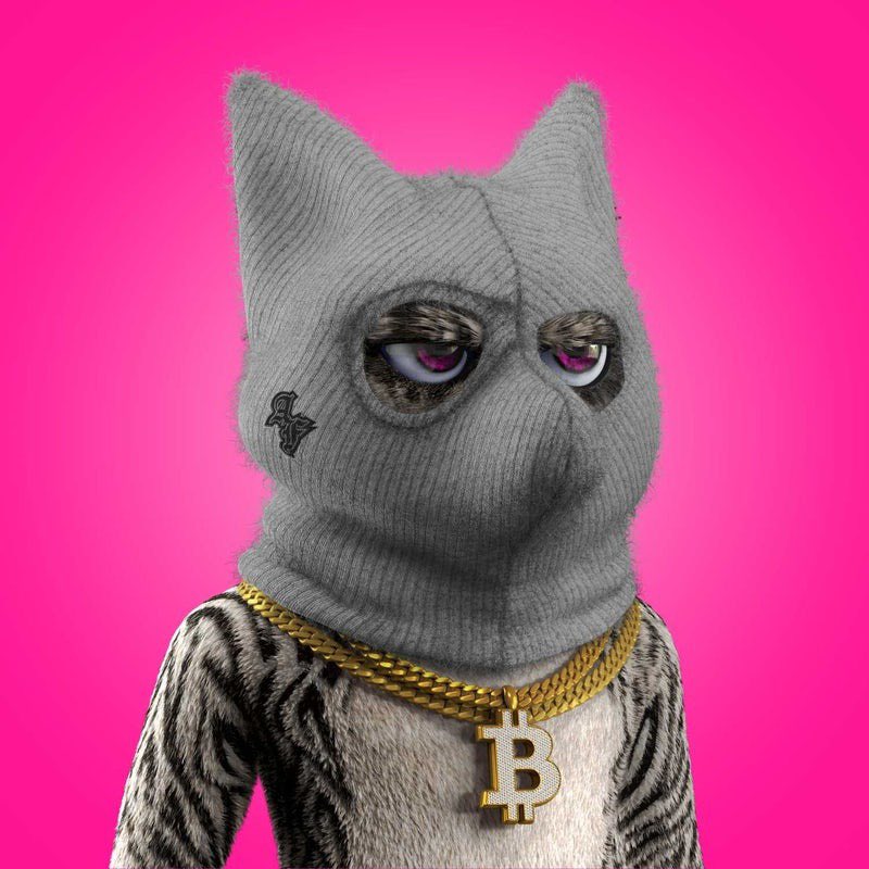 Ok I’m doing the giveaway 🦊 my reasonable requests are:

1⃣ Follow 

<a href="/AnonymousFoxNFT/">Anonymous Fox {AF} | Public Mint Open</a>
<a href="/AlphafoxtrotNFT/">AlphaFoxTrot</a>
 
2⃣ RT + Like
3⃣ Tag 5 friends
4️⃣ Join our Discord discord.gg/BHv94NVRVB

Winner announcement in 48 hours! 🎉 
#nearNFTs #NFT #NFTGiveAway